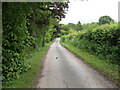 Lane above Hope under Dinmore