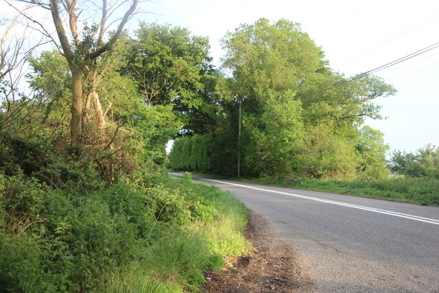 Further Street, Assington