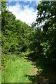 Bridleway near Charmandean School