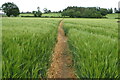 Footpath to Wardington House