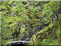 Bridge and path in gorge west of River Broom