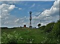 Telecommunications mast at Arras Reservoir