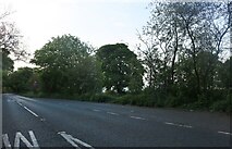 SK7123 : Nottingham Road, Broughton Hill by David Howard