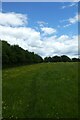 Path in a field beside the A43