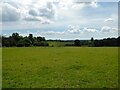 Barn Field/Black Ven Field