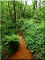 Batts Bridge Stream