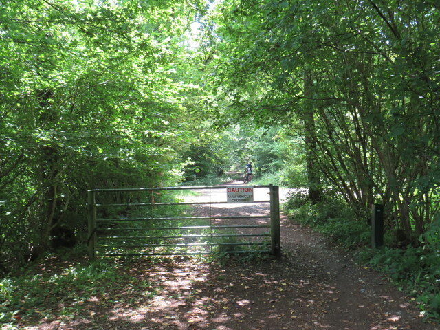 Downs Link near Cranleigh