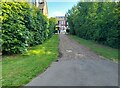 Path into Gladstone Park, Cricklewood