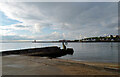 NZ3668 : The River Tyne, North Shields by habiloid