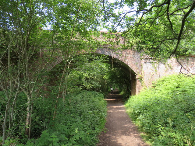 Downs Link near Cranleigh