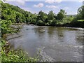 The River Severn at Folly Point