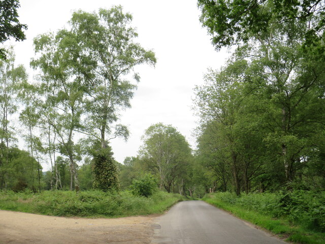 Farley Heath Road, near Farley Green