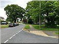 View along Beech Road