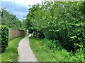 Cove Brook path