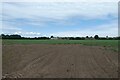 Field north of Grange Lane