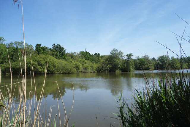 A Lake at Frimley © Des Blenkinsopp cc-by-sa/2.0 :: Geograph Britain ...