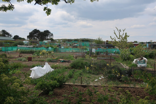 Allotments on the edge of Sheringham
