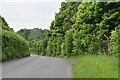 Lush roadside vegetation at Ham Cross