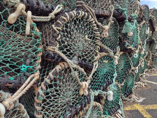 Crab Pots at Seahouses