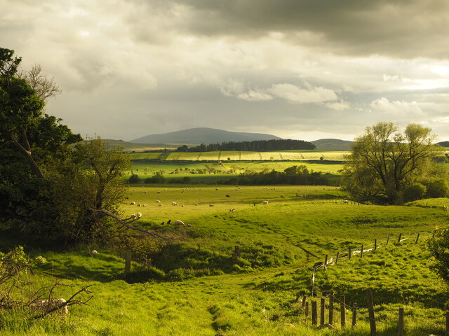 Distant Farmland near Chillingham