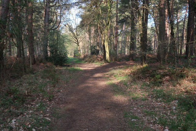 Path through Row Heath