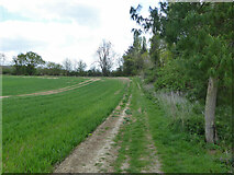 TL6422 : Footpath Great Dunmow 13 by Robin Webster