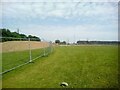 Open green space fenced off