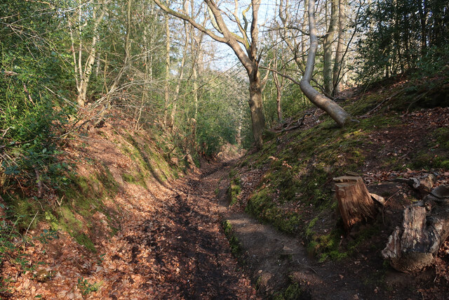 Sunken path off Beacon Hill