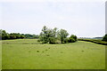 SP9599 : A field in Rutland by Bob Harvey
