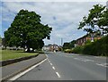 Main Road, Rookley