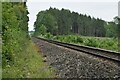 Railway near North Lodge