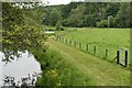 South bank of River Nadder from Horse Shoe Bridge