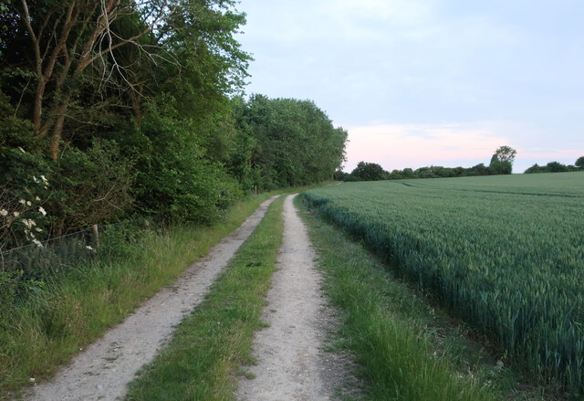 Path at RSPB Hope Farm