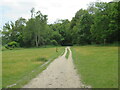 Public bridleway near Abinger Hammer