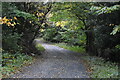 Track, Donard Wood