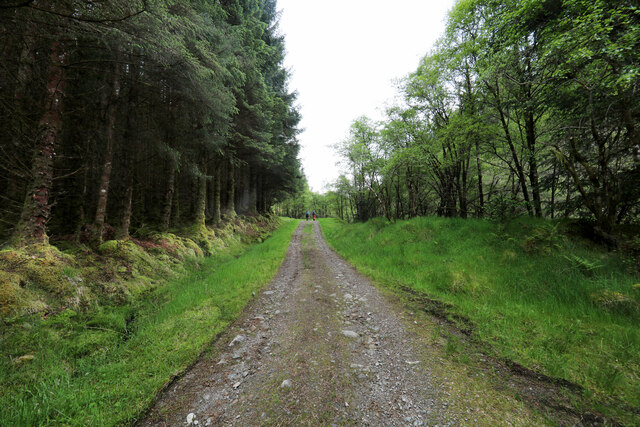 Forest track above Allt Broigleachan