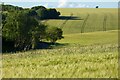 Farmland, Brixton Deverill