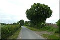 Approaching Skirpenbeck