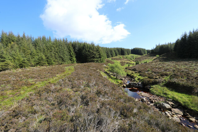 Forest escape track by the Achmore Burn