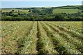 Farmland, St Columb Major