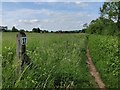 Heading north along the North Worcestershire Path