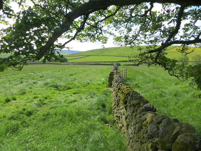 Fields divided by drystone walling