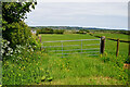 Drumlester Townland