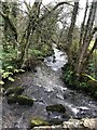 Stream at Pont Fawr, Tregwynt