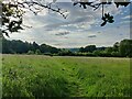 North Worcestershire Path at the Huntsfield Cottage