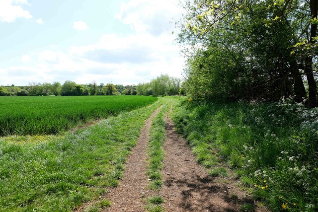 Shakespeare's Avon Way passing along edge of field, near Bidford-on-Avon, Warwicks