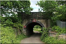 SE1721 : Access Lane to Bradley Hall Farm under a Railway Bridge by Chris Heaton