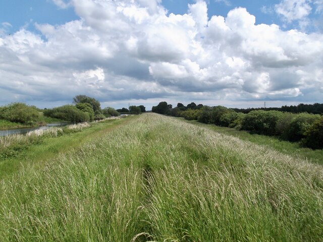 Bank of the river Hull approaching Linley Hill Farm