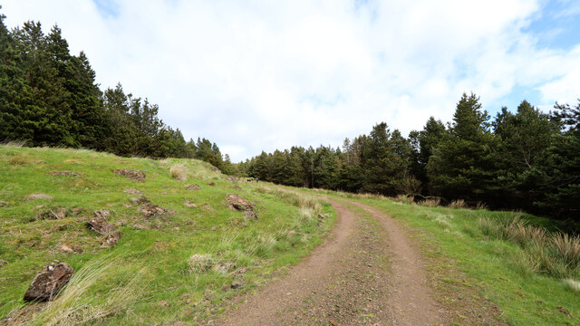 Track in Scoor Forest