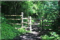 Gate on path to Colby Woodland Garden